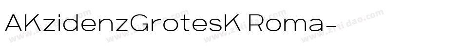 AKzidenzGrotesK Roma字体转换
